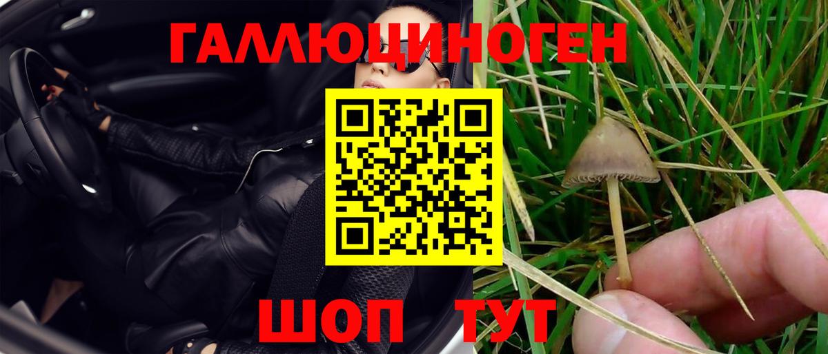 Майкоп  Галлюциногенные грибы ЛСД  Вход с VPN 