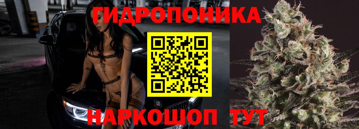 МАРИХУАНА конопля  Конопля сатива  Майкоп  Вход с VPN  Шишки марихуана OG Kush  МАРИХУАНА OG Kush 
